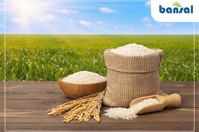 What is the difference between basmati rice and other type