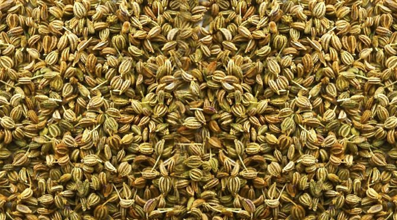Carom Seeds_