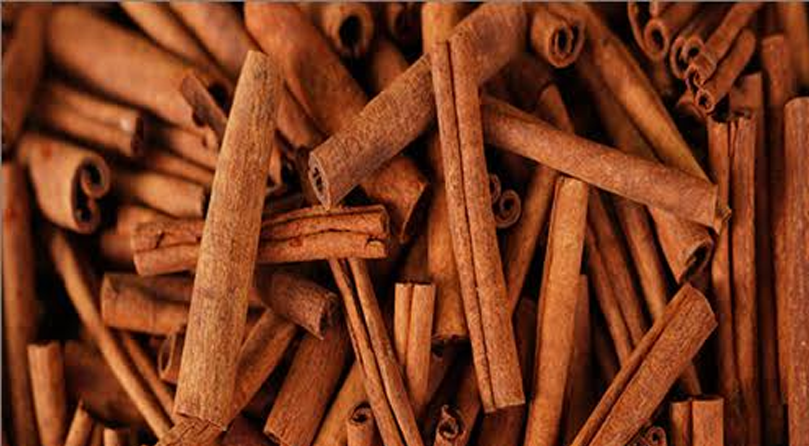 Cinnamon Sticks_
