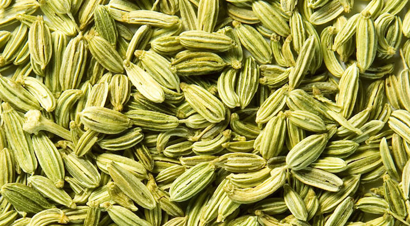 Fennel Seeds_