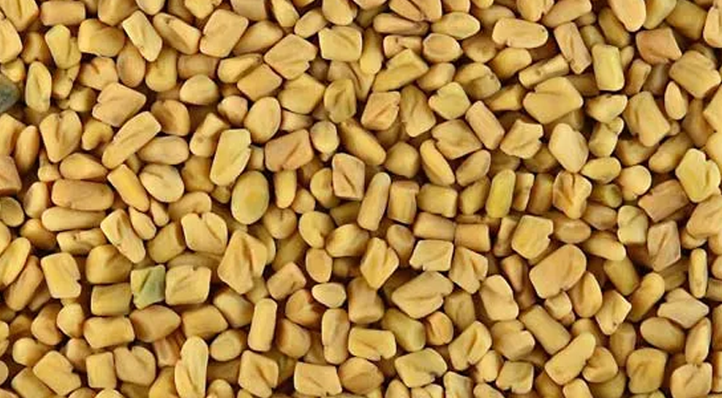 Fenugreek Seeds_
