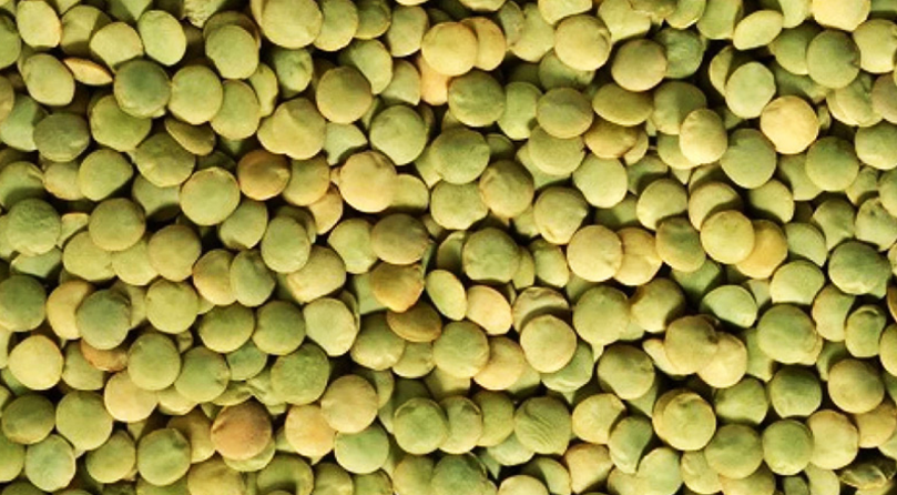 Green Lentils (Hari Moong Dal)