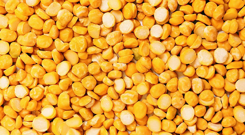 Split Chickpea Lentils (Chana Dal)