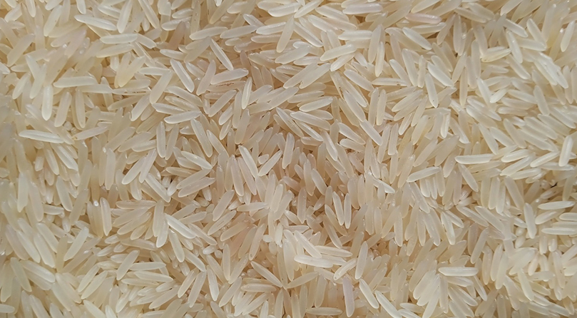 Sugandha Creamy Sella