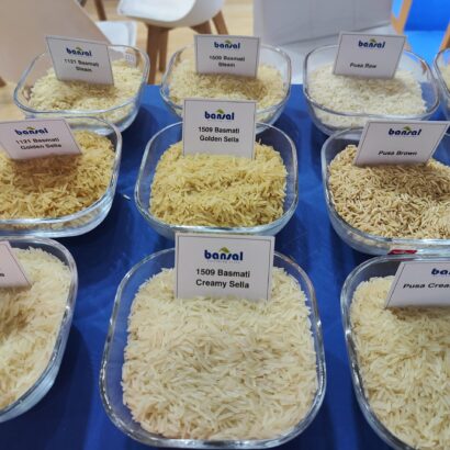 WhatsApp Image 2025-08-29 at 07.59.56 (1)