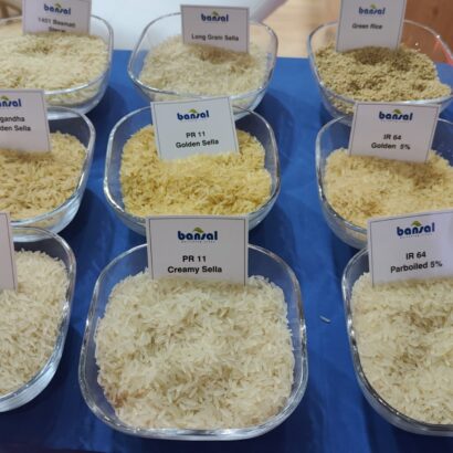 WhatsApp Image 2025-08-29 at 07.59.56