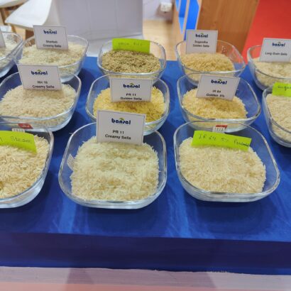 WhatsApp Image 2025-08-29 at 07.59.57