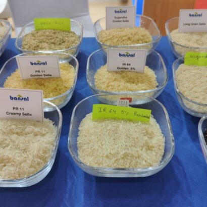 WhatsApp Image 2025-08-29 at 07.59.58