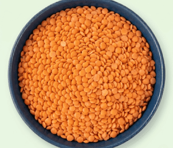 Red Lentil