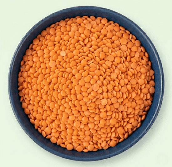 Red Lentil