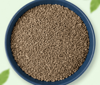 Carom Seeds