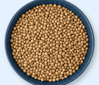 Coriander Seeds