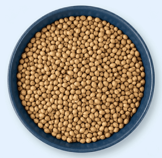 Coriander Seeds
