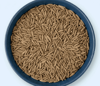 Cumin Seeds