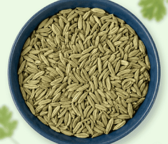 Fennel Seeds