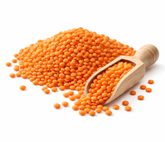 Red Lentil