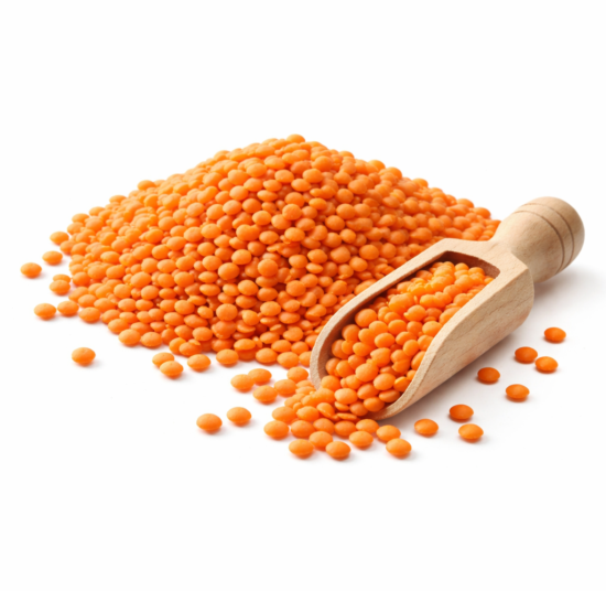 Red Lentil