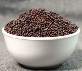 Mustard Seeds