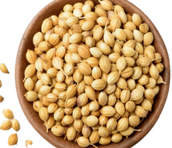 Coriander Seeds