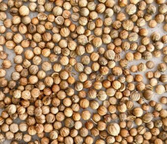 Coriander Seeds