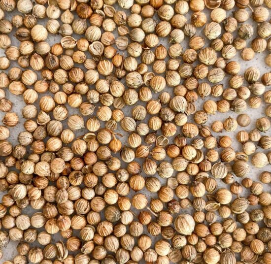 Coriander Seeds