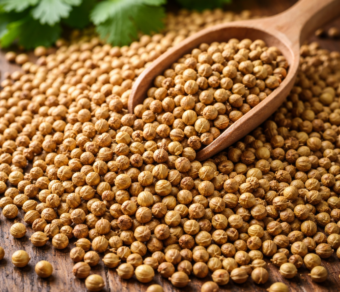 Coriander Seeds