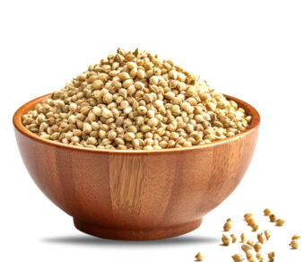 Coriander Seeds