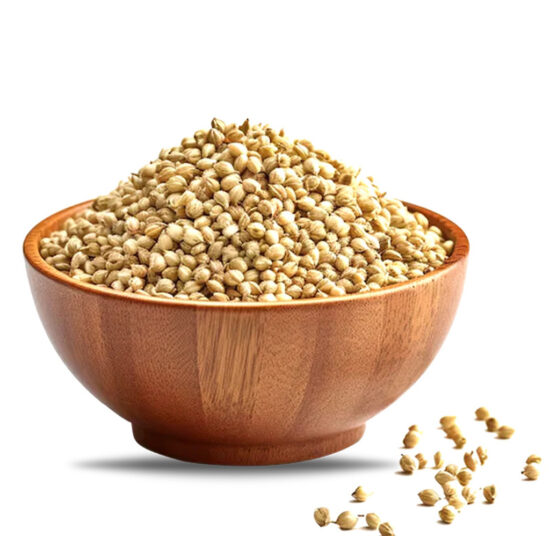 Coriander Seeds