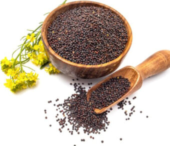 Mustard Seeds