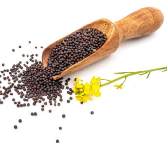 Mustard Seeds