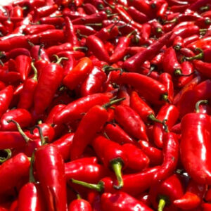 Red Chillies