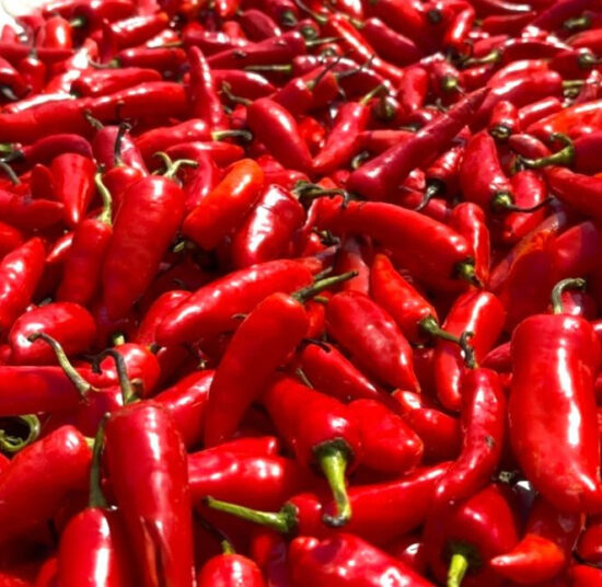 Red Chillies