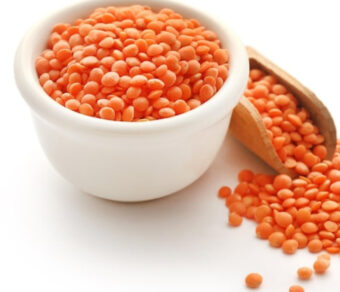 Red Lentil