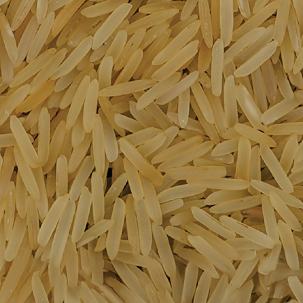 1509 Basmati Rice