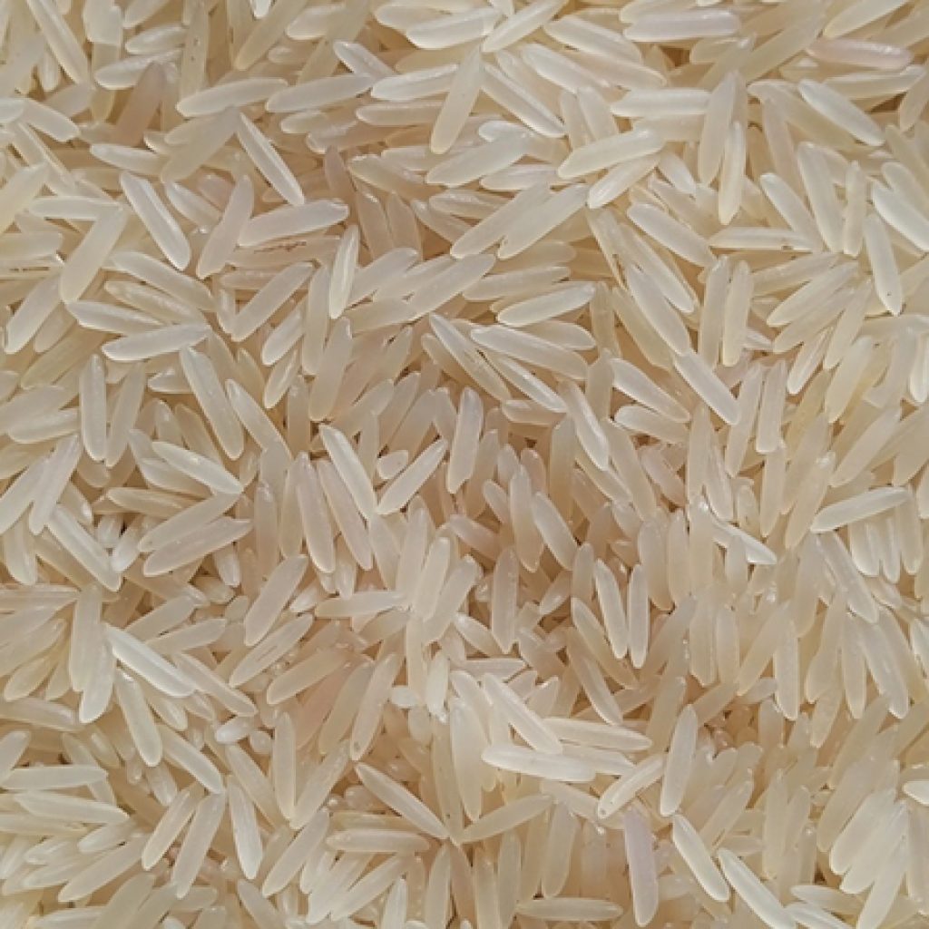 Sugandha Creamy Sella